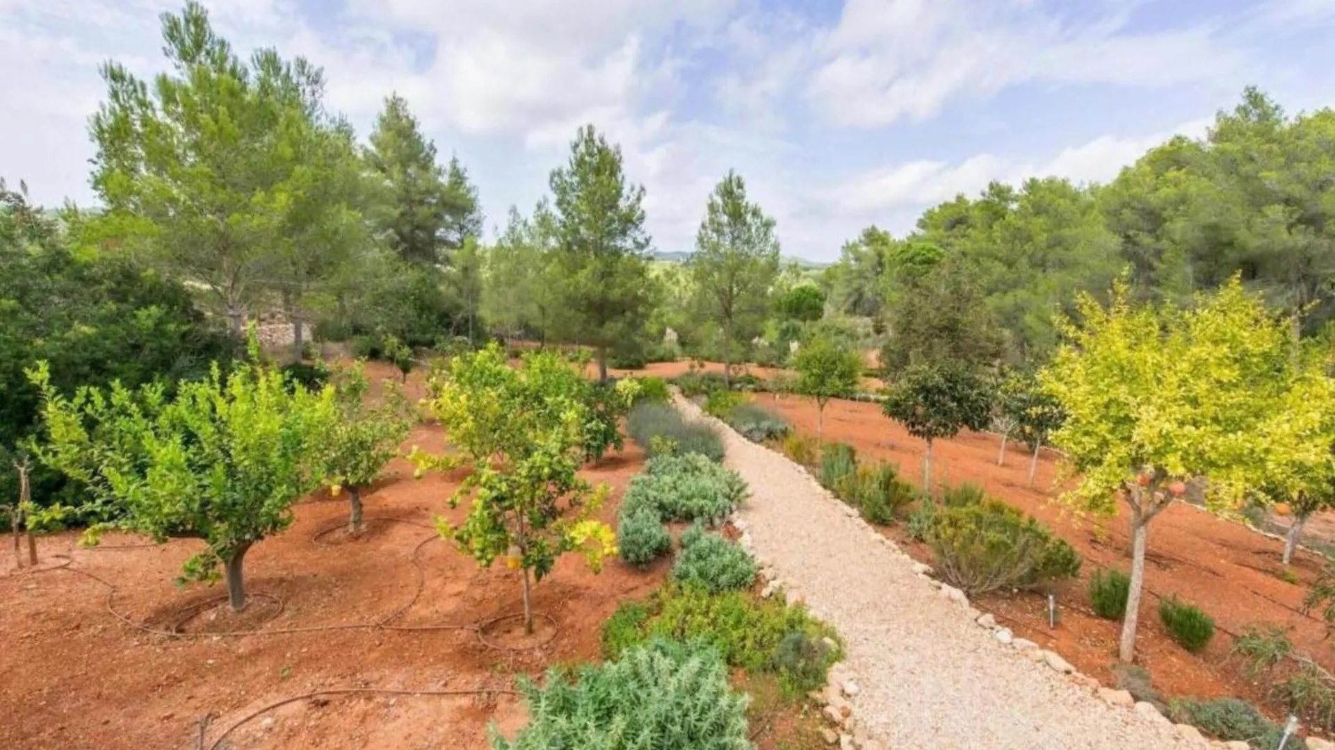 Charming Villa In The Heart Of San Rafael Santa Gertrudis  Spanyolország
